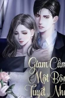 Giam Cầm Một Bông Tuyết Nhỏ (1)