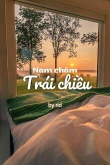 Nam Châm Trái Chiều (1)